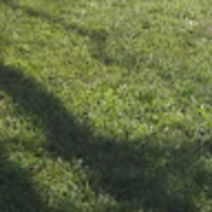 Meet your Posher, Ja